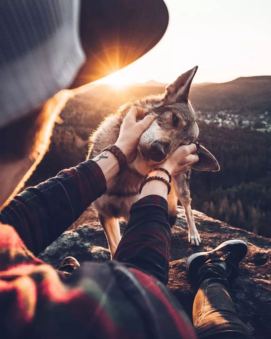 如何在日常生活中判断狗狗的健康,怎么从外表判断狗狗的健康情况
