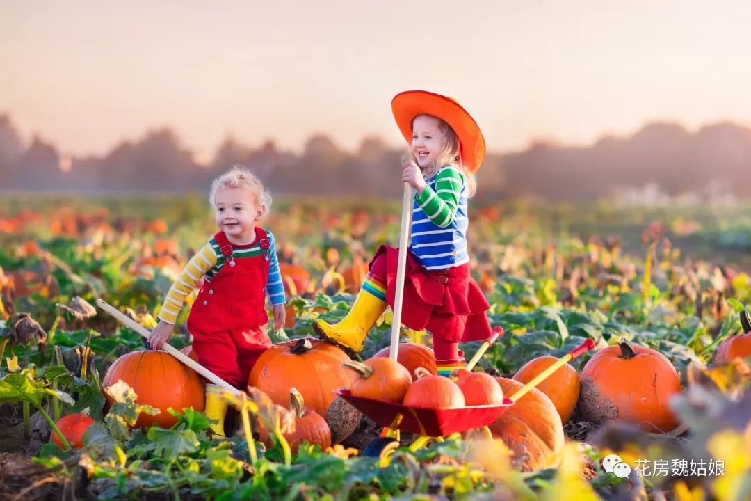 环球旅行感恩节,感恩节旅途