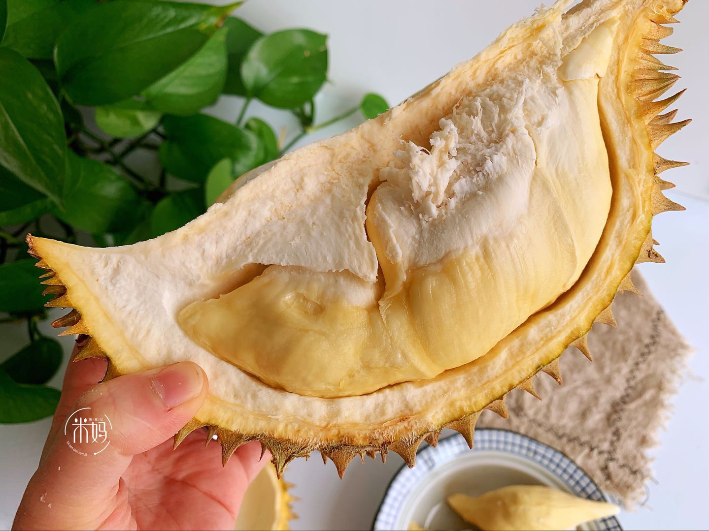 榴莲怎样挑榴莲肉多,榴莲要怎么挑才皮包肉多