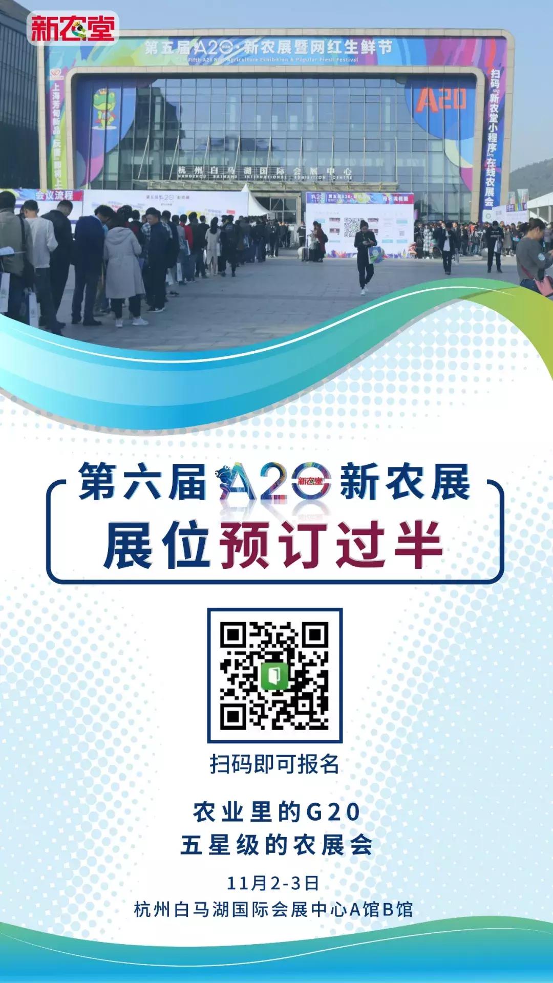 丁磊养的猪有什么,为什么丁磊喜欢养猪