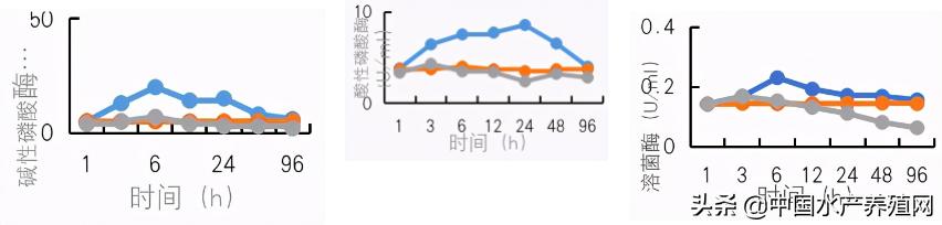 中草药制剂HCV弧菌病能防治、修复肝胰腺，广东省农业力推技术