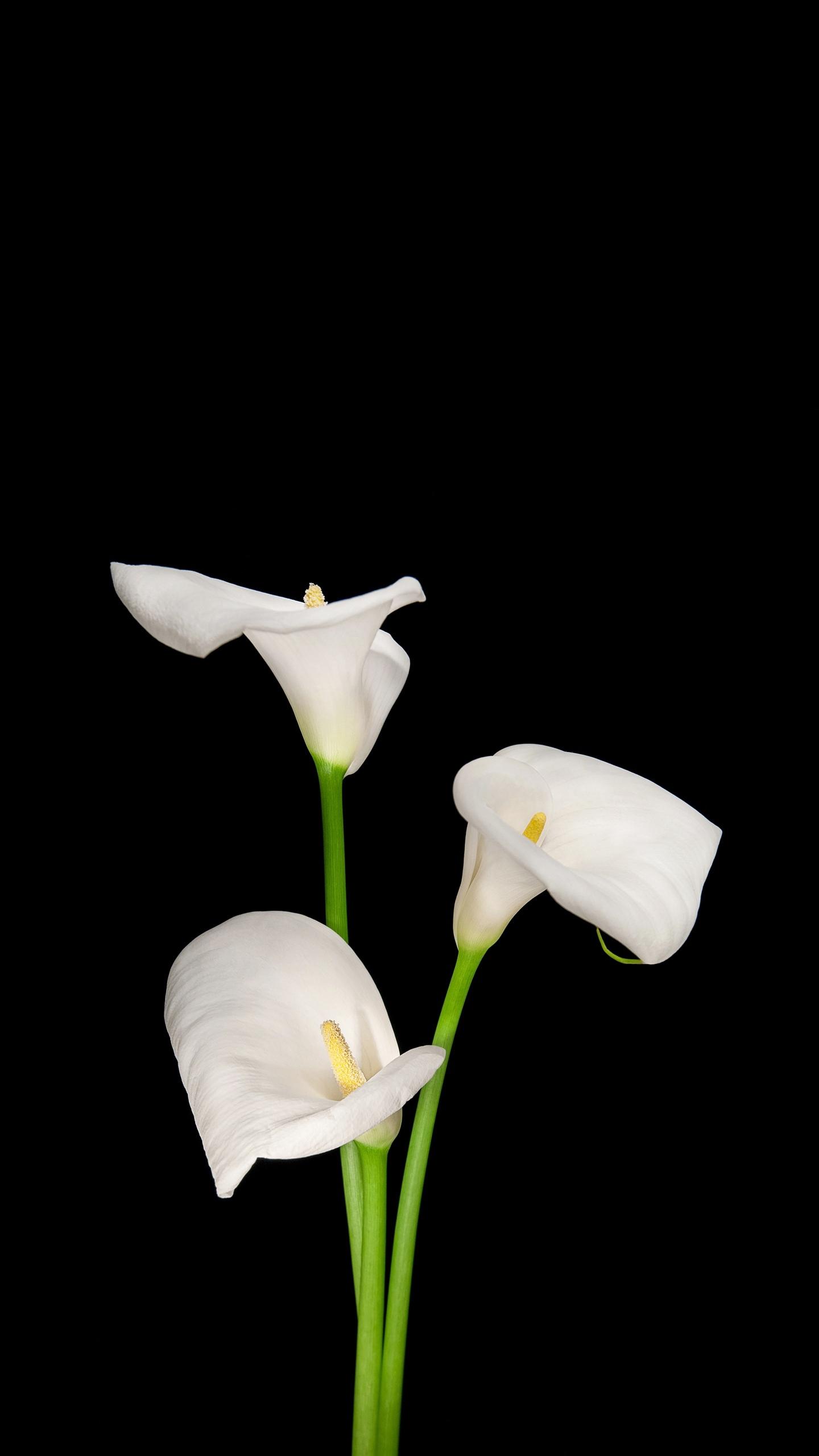 在这个时代怎么挣钱快,在这个捡钱的时代