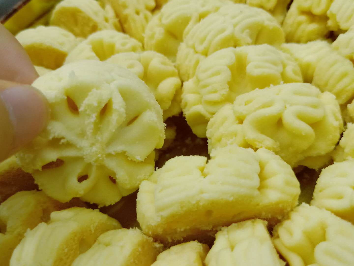 香港珍妮曲奇小熊饼干哪个味道好,香港珍妮小熊曲奇价位