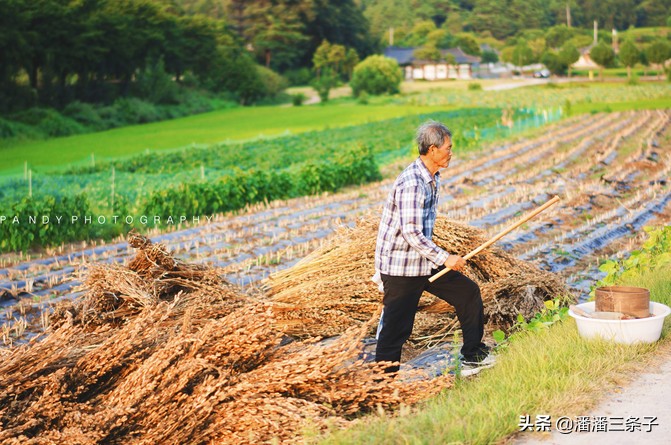 去韩国不购物回来的感受,去韩国一定要买什么