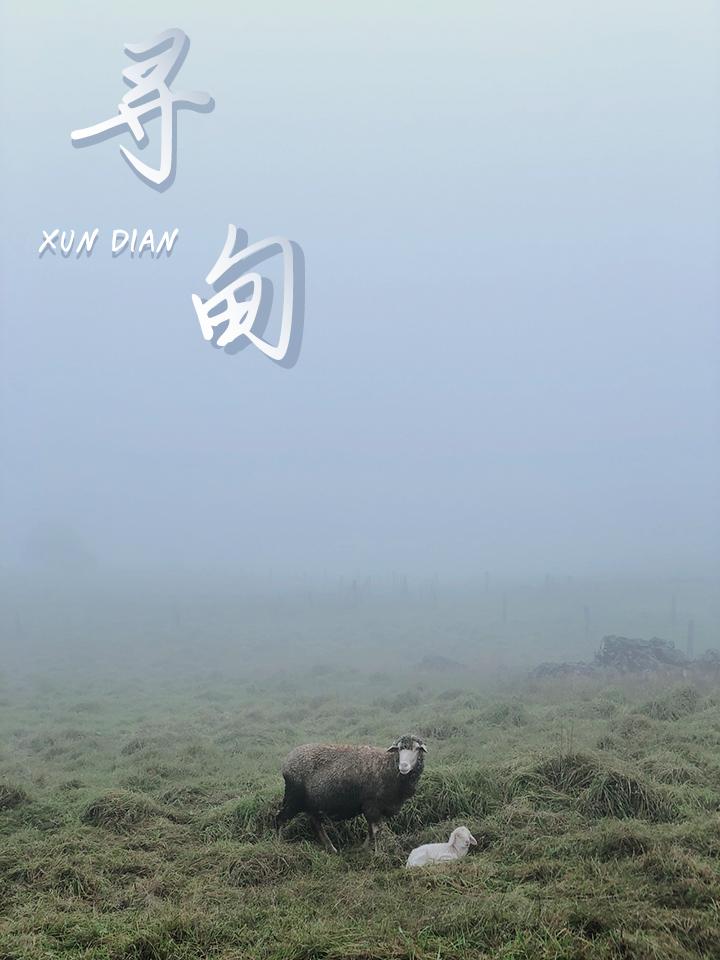 为什么，我一定要劝你来寻甸