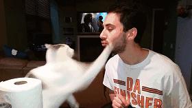 铲屎官请自重图,铲屎官请自重