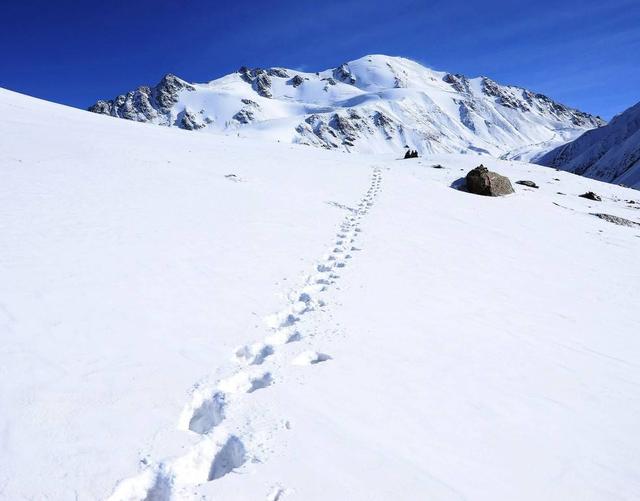 岗什卡雪山海拔多少米,圣洁的雪山辽阔的草原叫什么名字