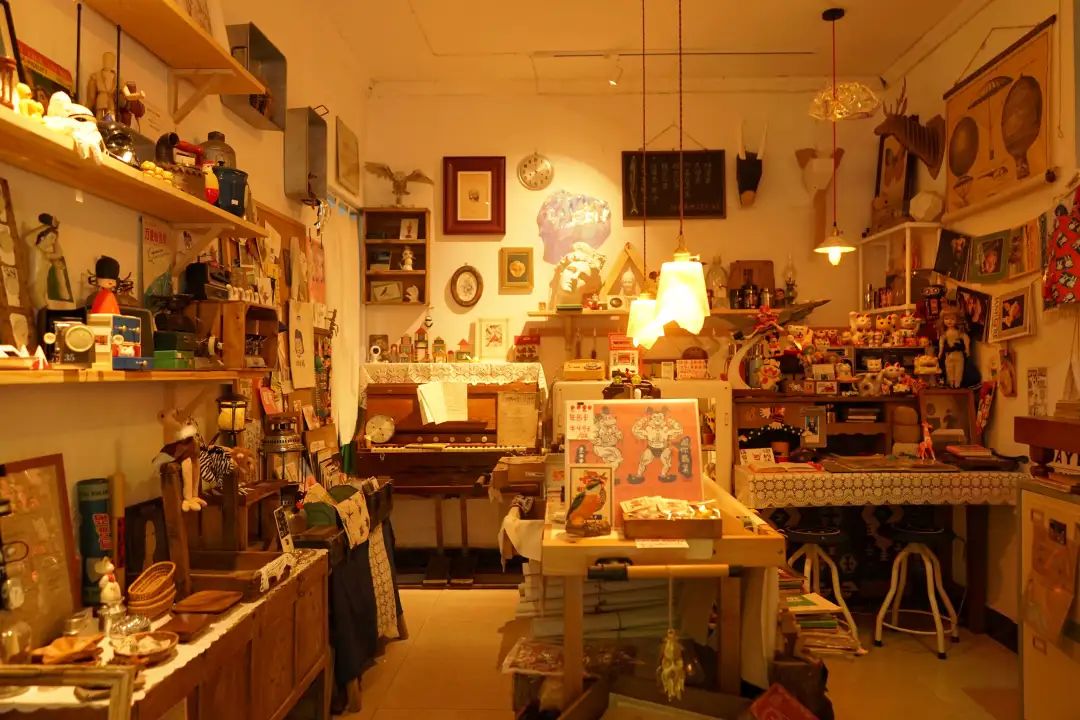 人民公园小南街,人民公园长发魔女