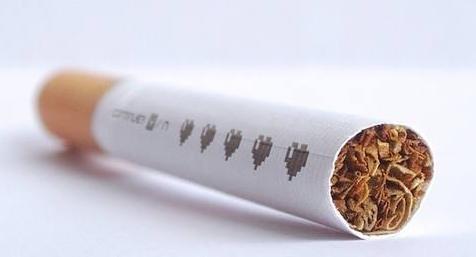 狗狗身上有跳蚤教你一招轻松去除,狗身上有跳蚤偏方