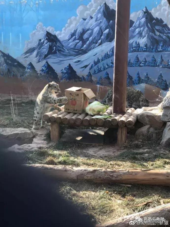 二十年春雨,春雨十年小说