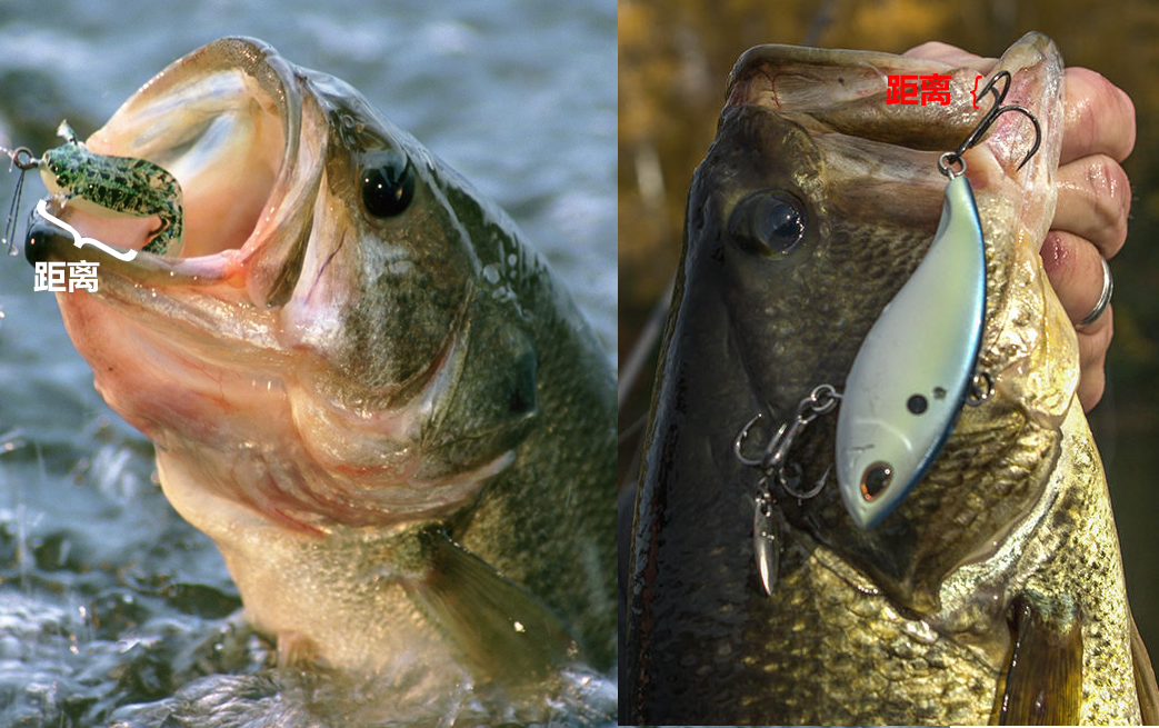 路亚小白条用单钩好还是三本钩好,10g路亚饵配多大的三本钩