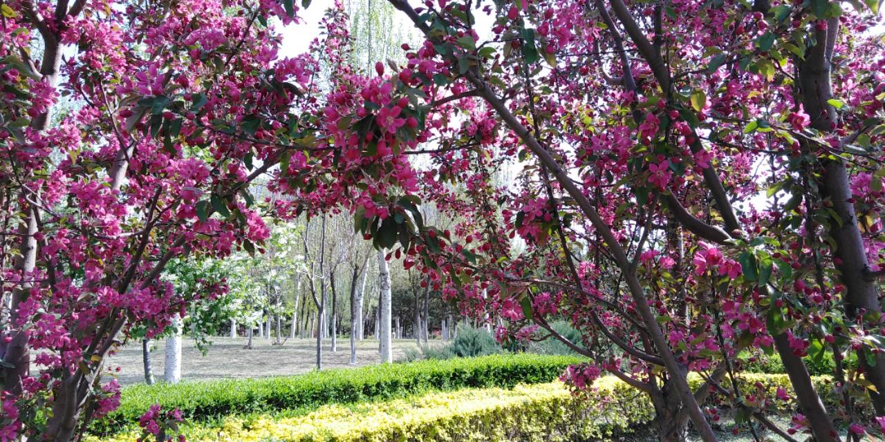 沈阳长白岛森林公园一日游攻略,长白岛森林公园五一