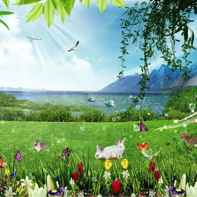 头条教你快速加v,今日头条训练营怎么加v