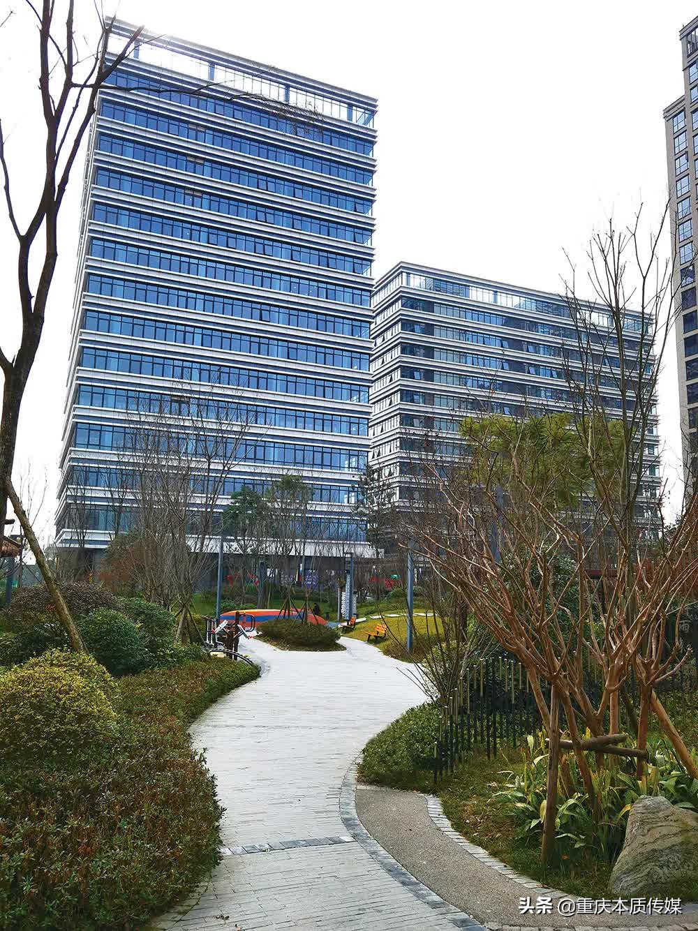 艺人王英,人物王英