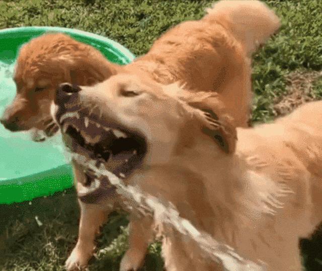 穿恨天高坐地铁的社死现场，两位男士都不忍看这次“崴脚表演”