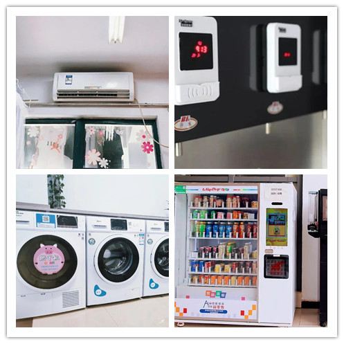 志愿填报英语专业,西安外国语大学征集志愿2023