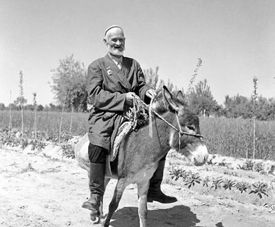 库尔班：想骑驴见毛*东泽**，92岁成为人大代表，曾孙女是航母女兵