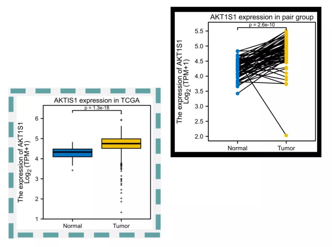 sci发表小技巧,零基础如何快速发表一篇sci
