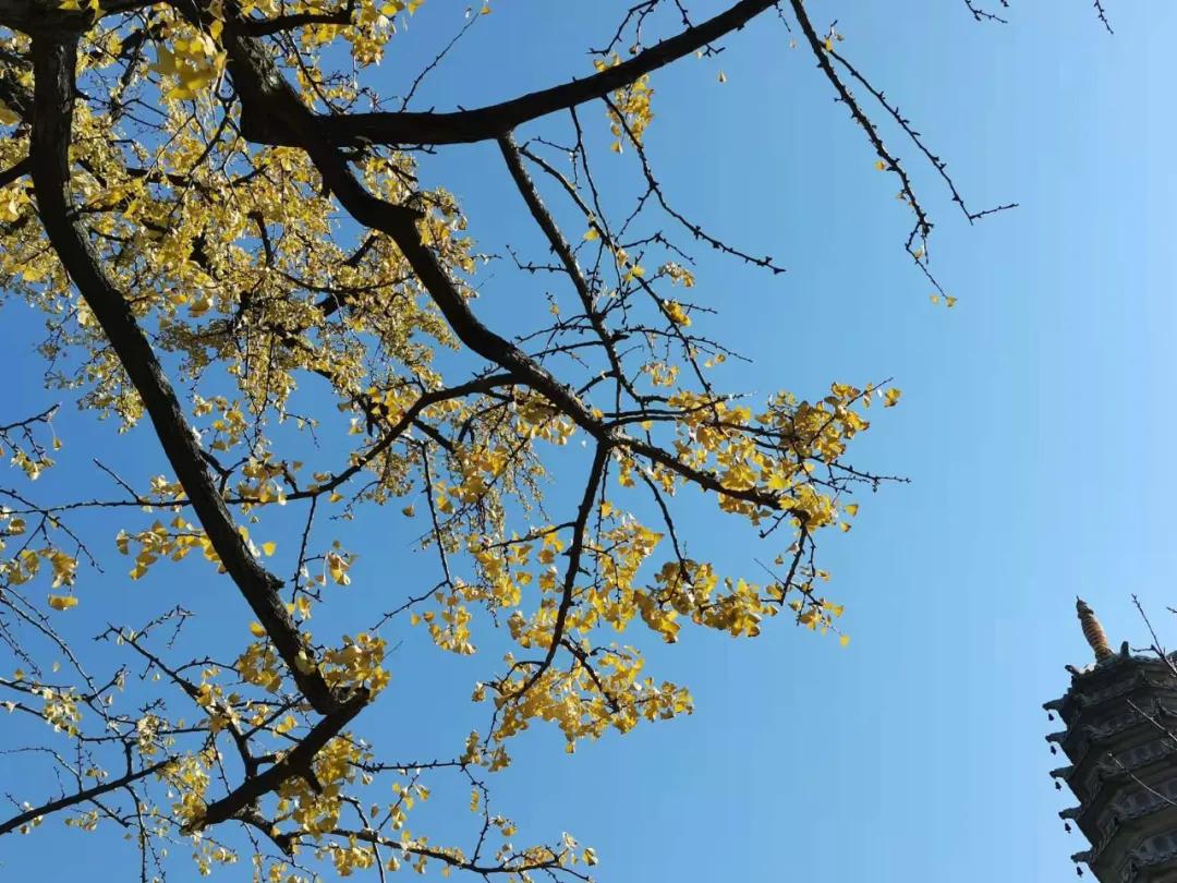 行走｜物华天宝宝华山