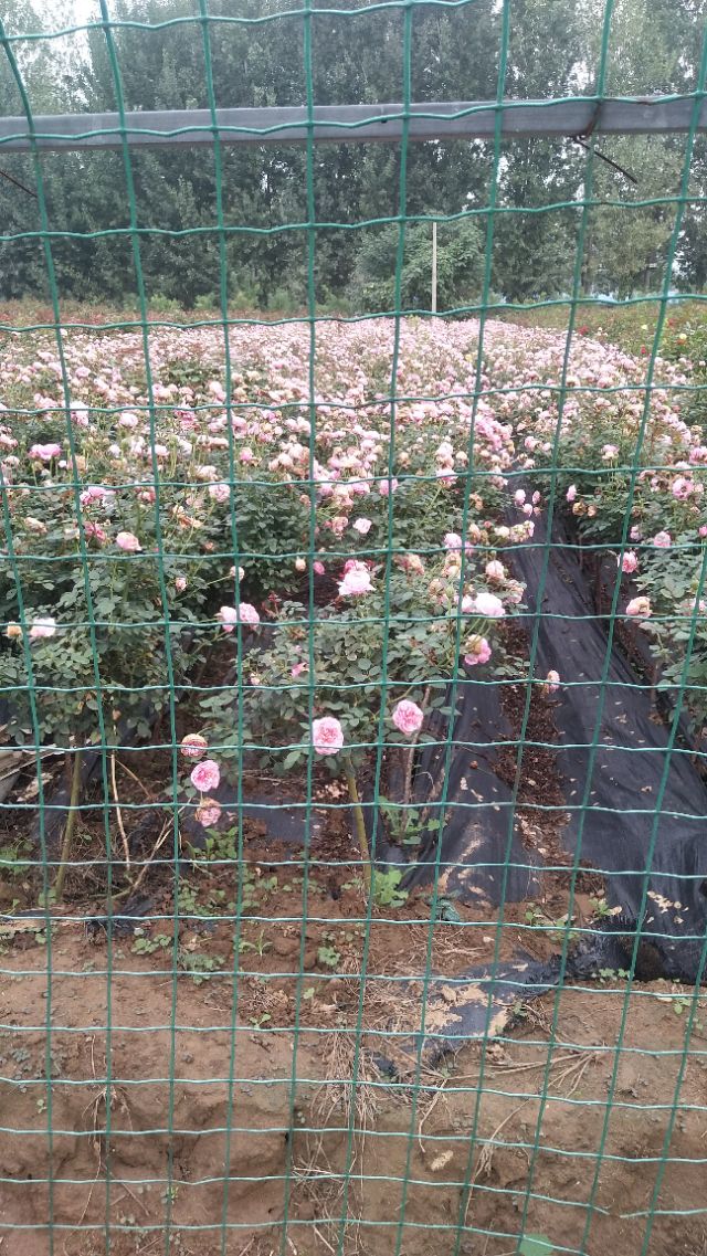 南阳李宁体育园的健身房,李宁体育园南阳