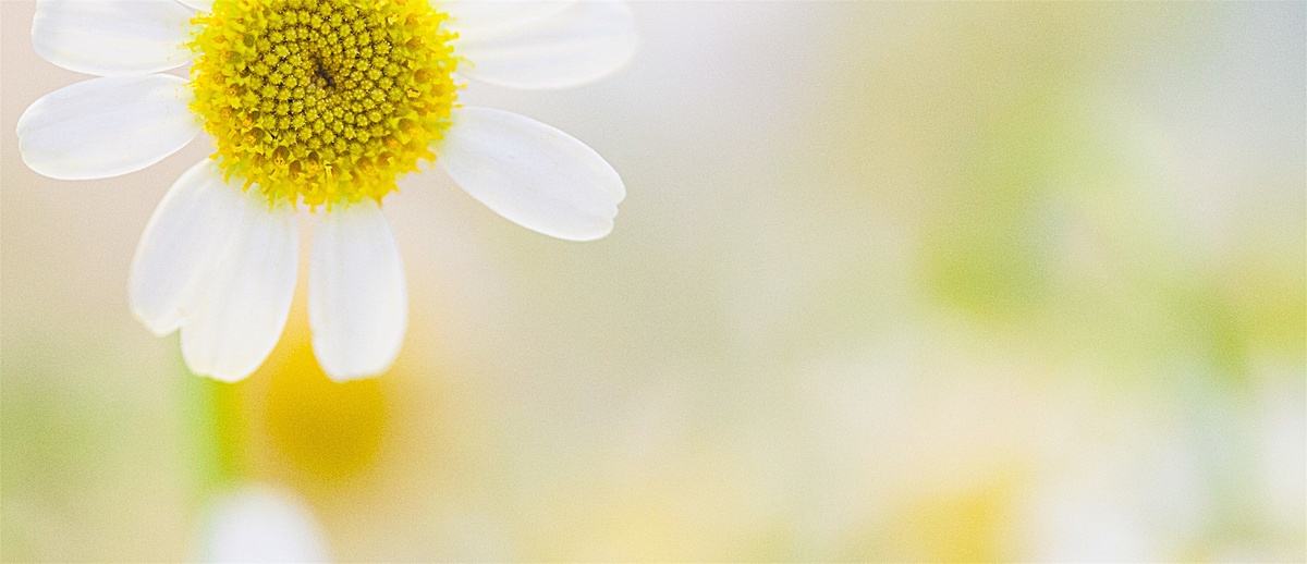 mba考研复试会英语自我介绍么,mba复试面试中英文自我介绍都要吗