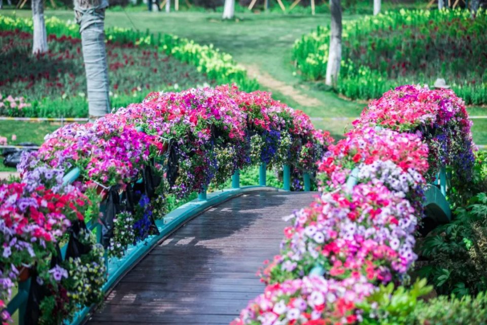 五一不能错过的花海,五一不能错过的美丽花海