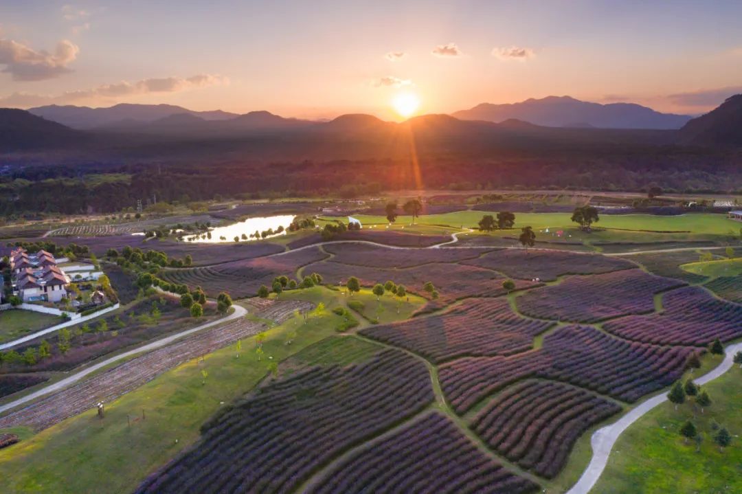 收好这份云南最新5a景区名单,云南的5a级景区有哪些