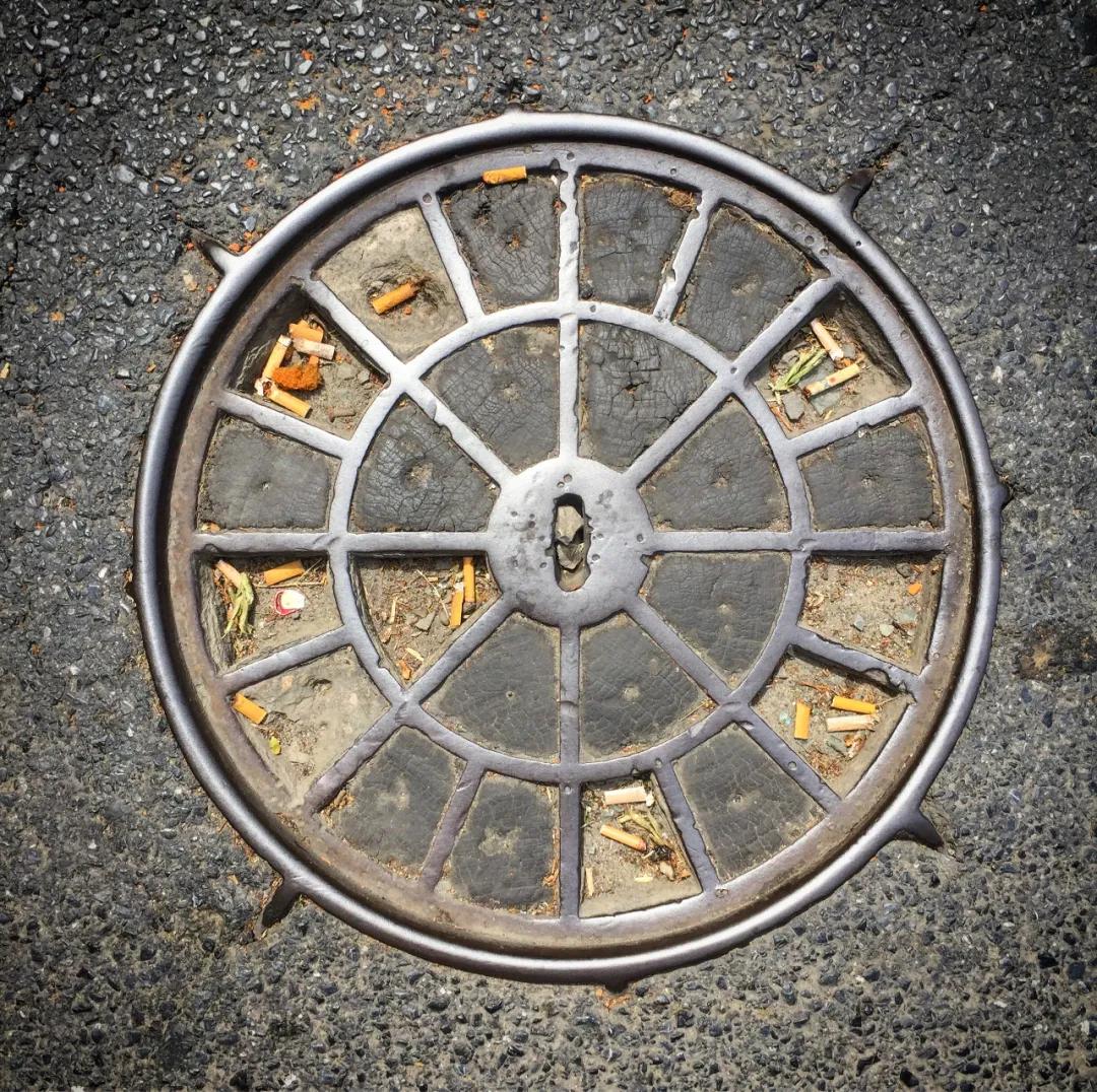 不要错过上海的春天,不要错过上海的夏天