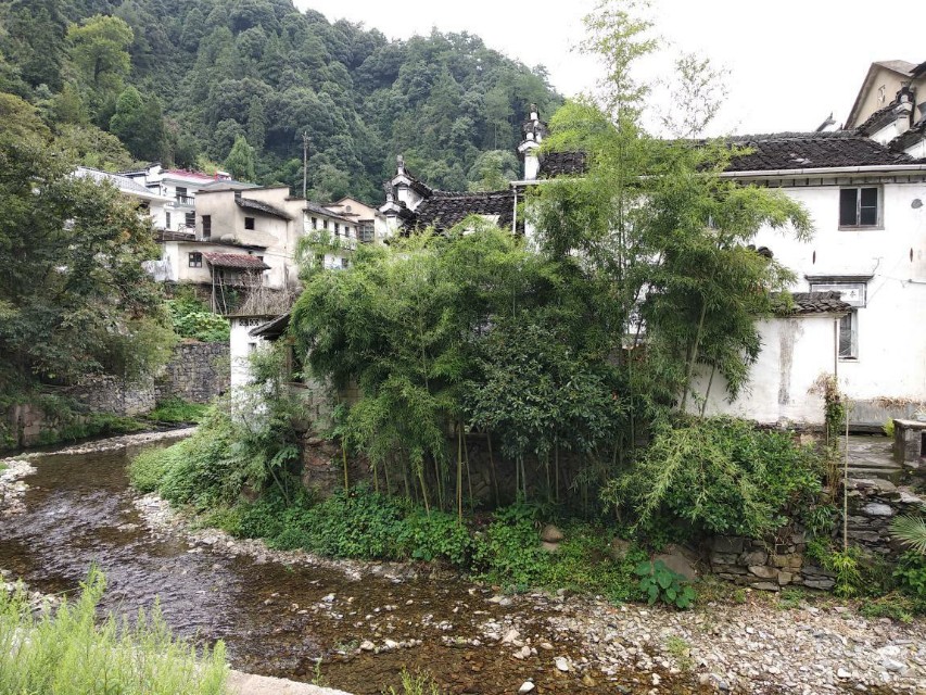 大唐绝唱—惊才绝艳的小鱼