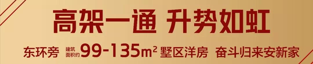 泰州硬核,太硬核了原视频