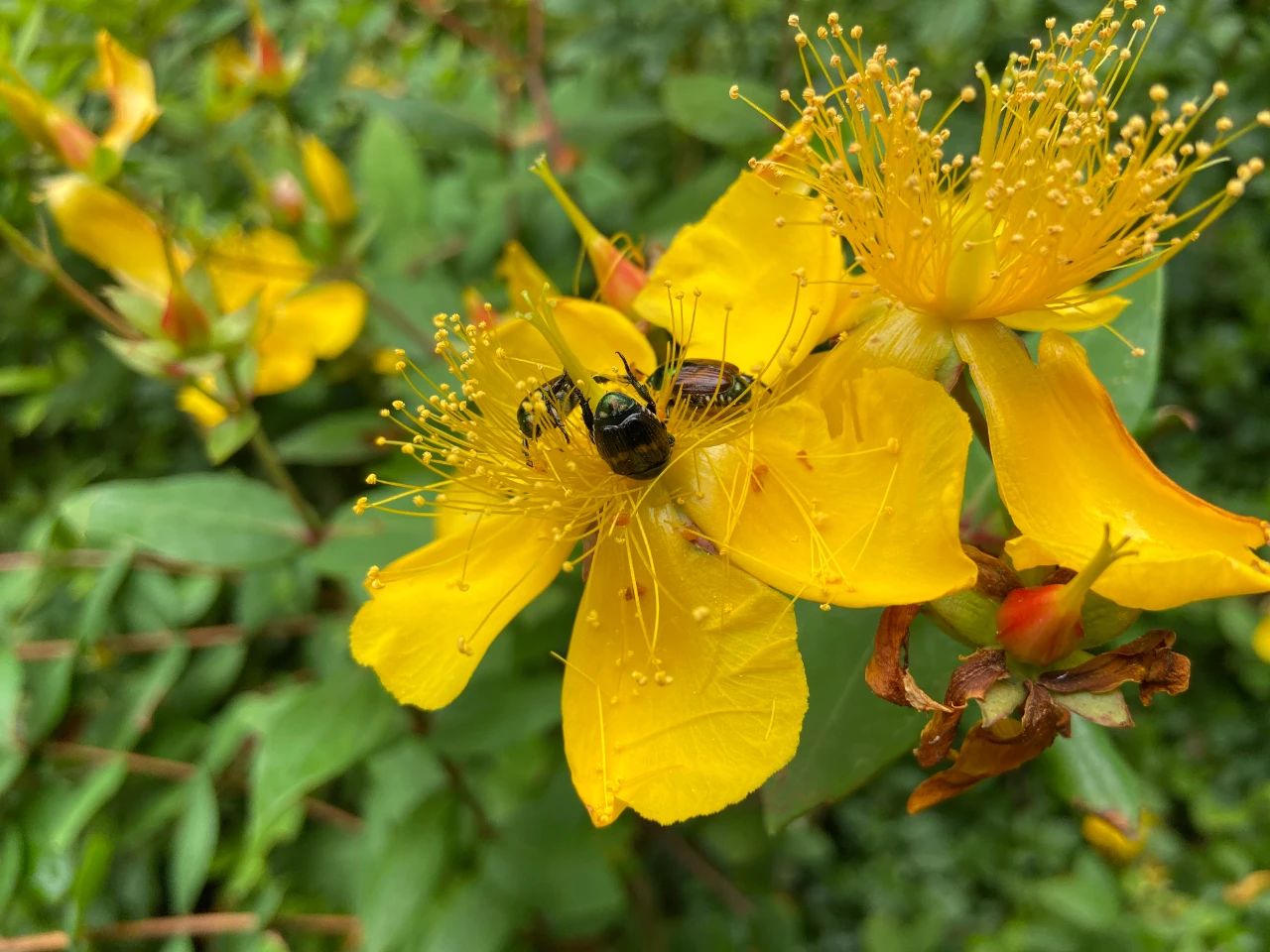 贵阳避暑一个月,带你领略中国避暑之都爽爽贵阳