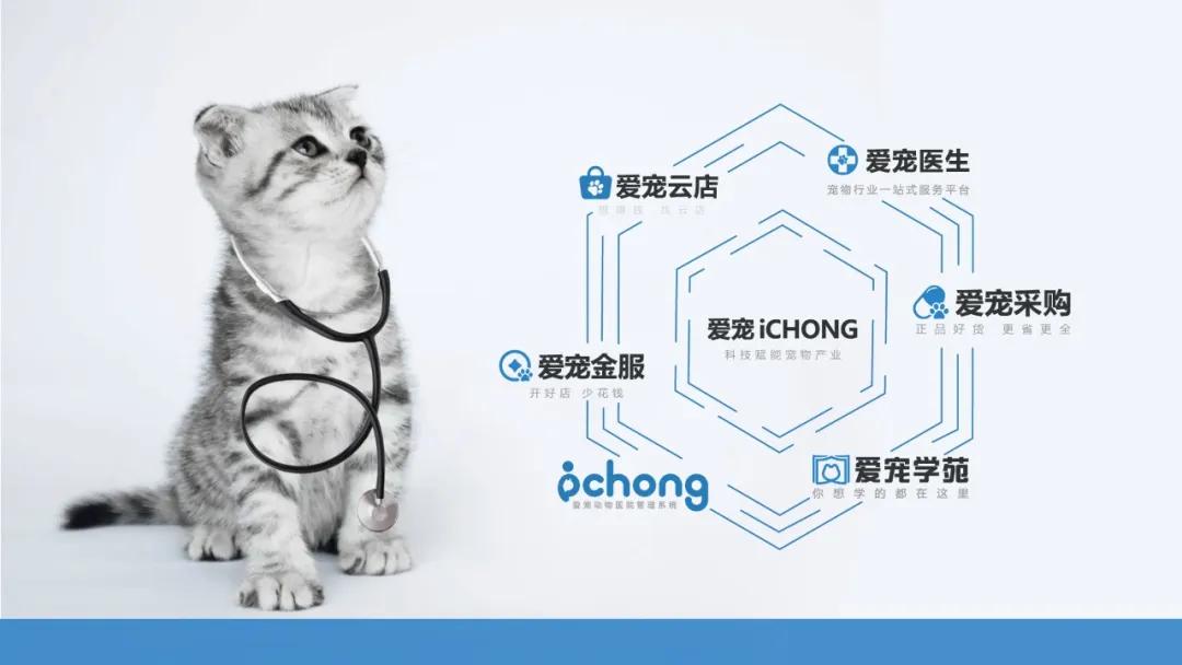 隐藏在爆火背后，是16年专研宠物营养的匠心精神|大咖对话