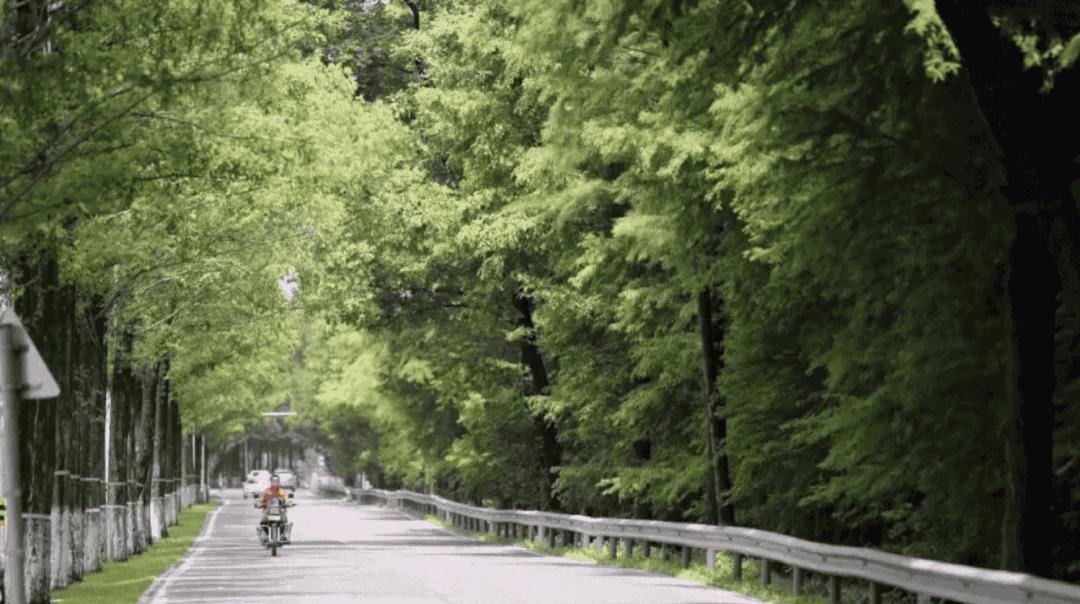 五一杭州必打卡哪里适合出去玩,杭州五一不挤的好去处