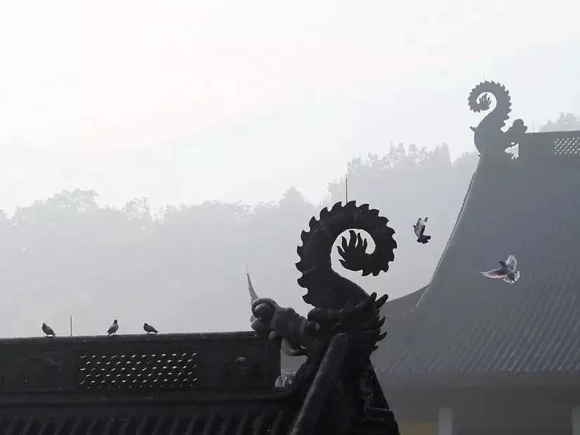 膝盖感觉冒凉气有点疼怎么回事,膝盖嗖嗖的疼怎么回事