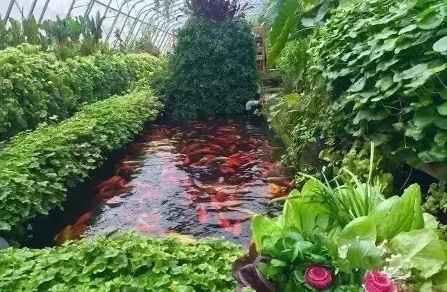 家庭300亩的农庄如何实现盈利,生态农庄家庭农场年赚百万的秘诀