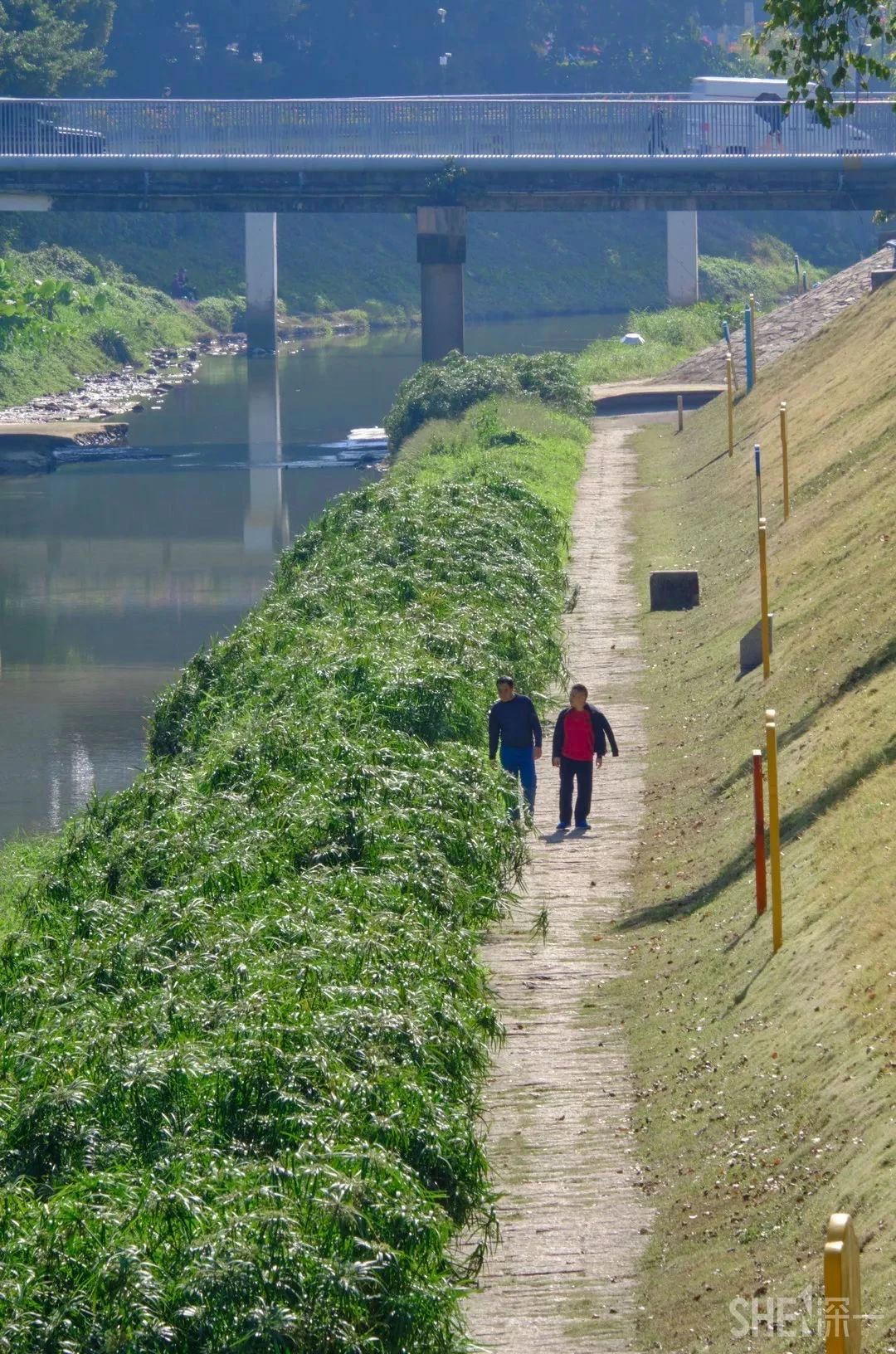 深圳旅游攻略地铁沿线景点,深圳市地铁2号线打卡的24个景点