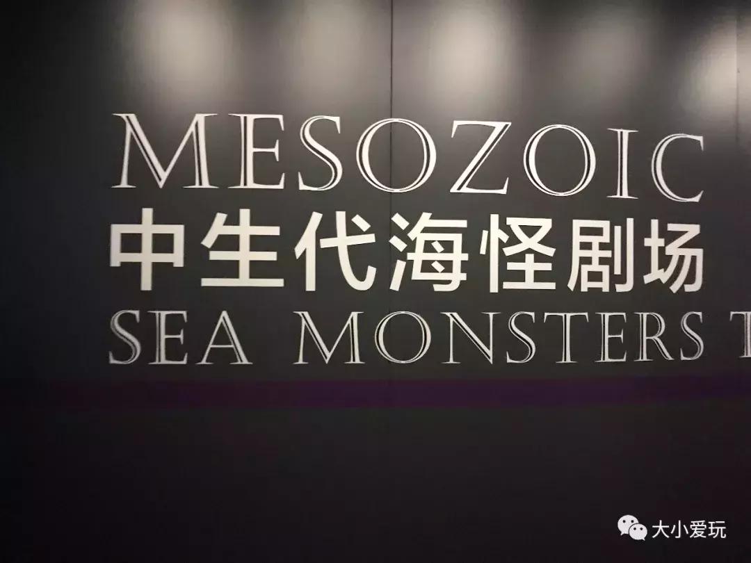 开放首日实探国家海洋博物馆，史上最抢手博物馆究竟长什么样