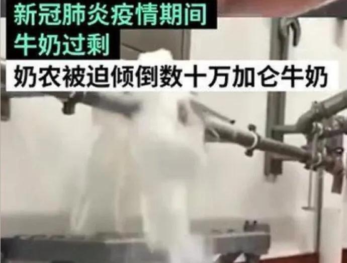 黑天鹅后灰犀牛：倒牛奶到负油价，完美风暴加剧经济滞胀