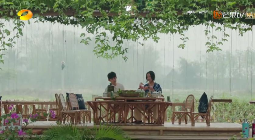 向往的生活4为什么被批评,向往的生活4定档