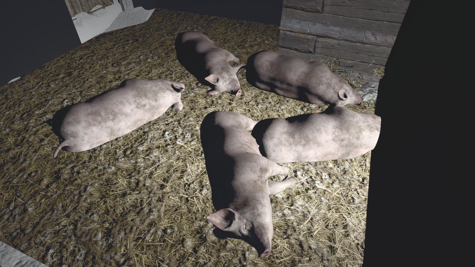 生化危机8突袭村庄,生化危机8村庄诡影故事分析