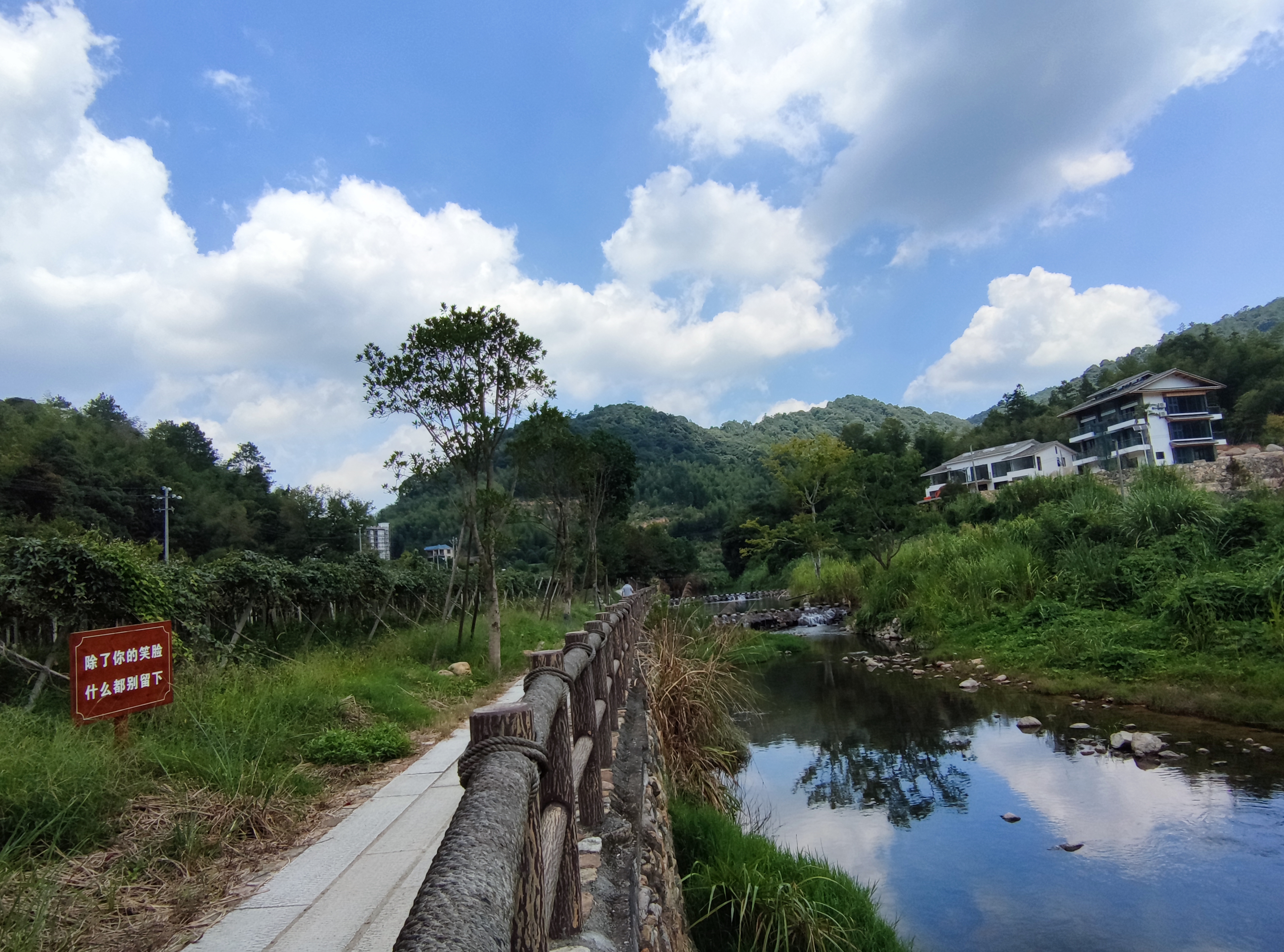 青山网红村,寿山九峰村有农家乐吗