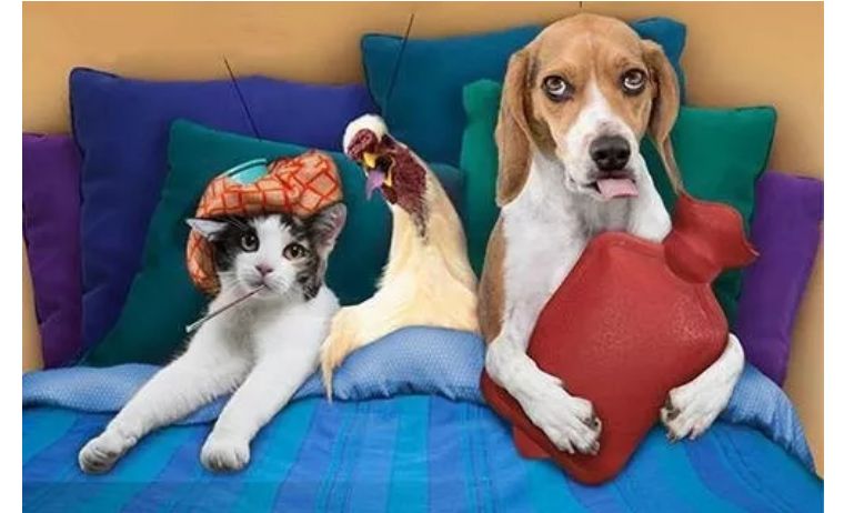 天冷穿什么鞋,天冷了穿什么鞋最好女