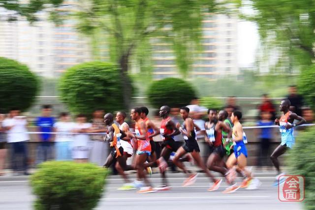 河南体育事业单位改革,郑州体育最新政策