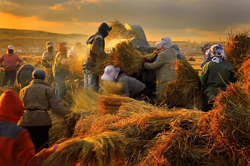 风吹麦浪孙俪李健,李健风吹麦浪原唱