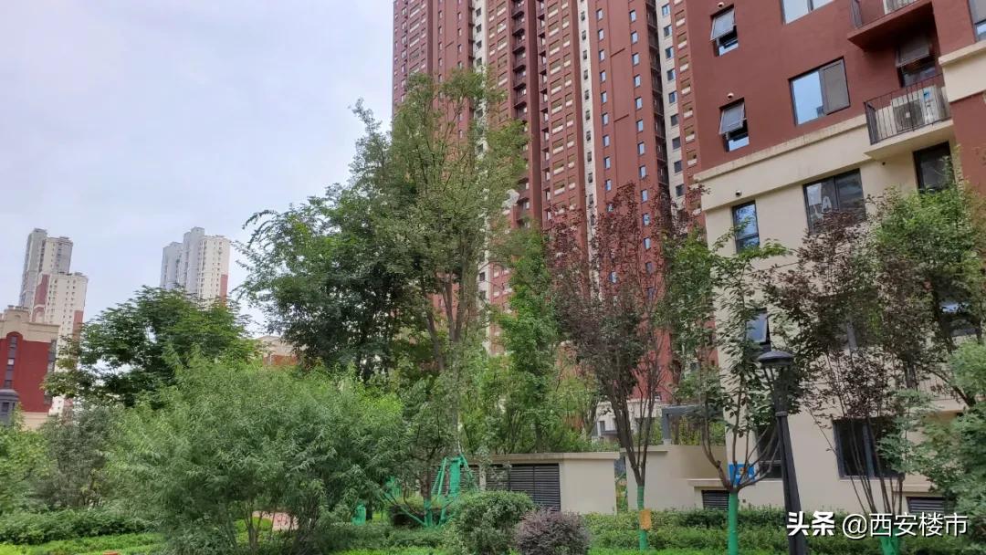 南湖艺境一期小区环境图片,南湖艺境一期详细地址