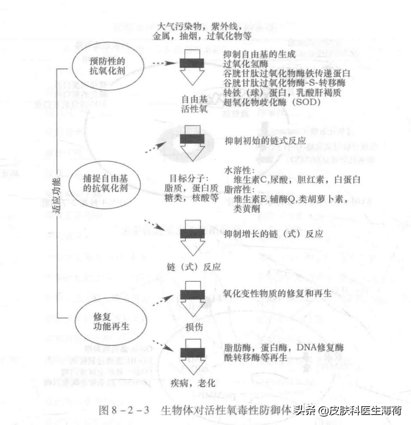 皮肤发黄怎么抗氧化,肤色黄是需要怎么抗氧化