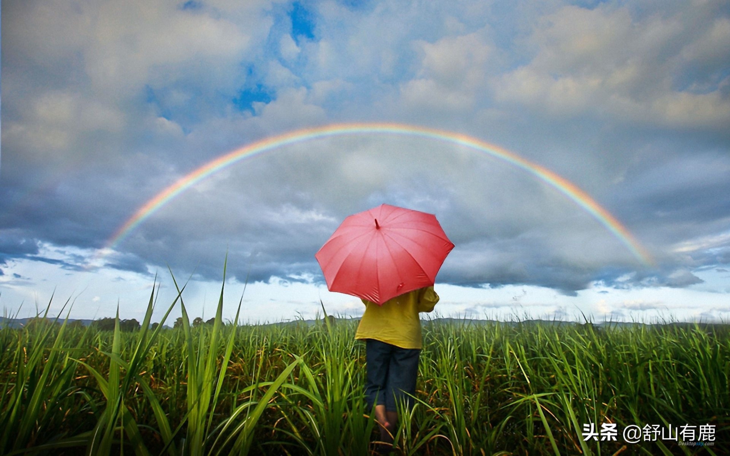 姥姥的忠告语录,姥姥的点拨完整视频