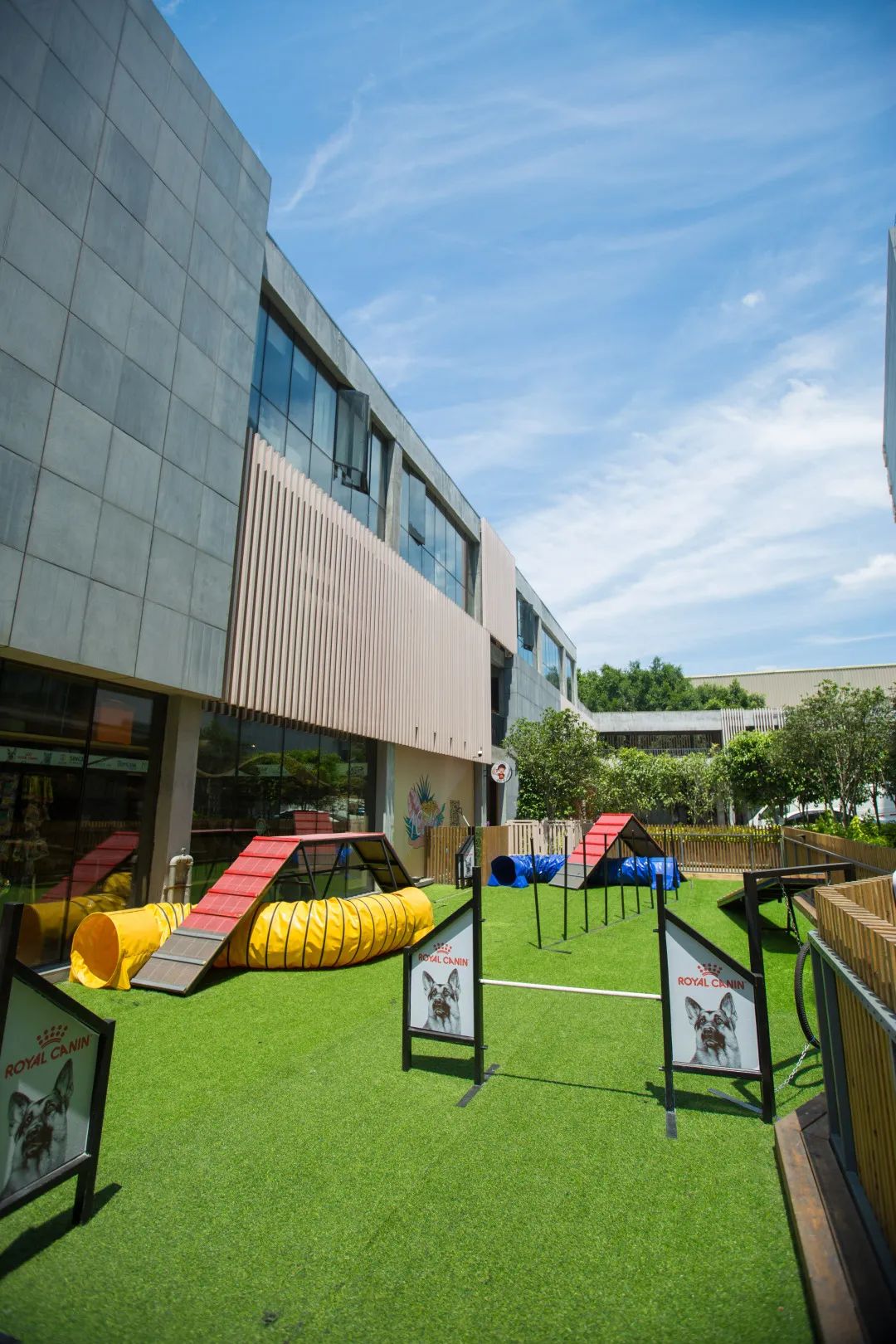 「椒霸霸×1CAKE」联名来啦！只要28.9元，和爱宠共享悠然午后