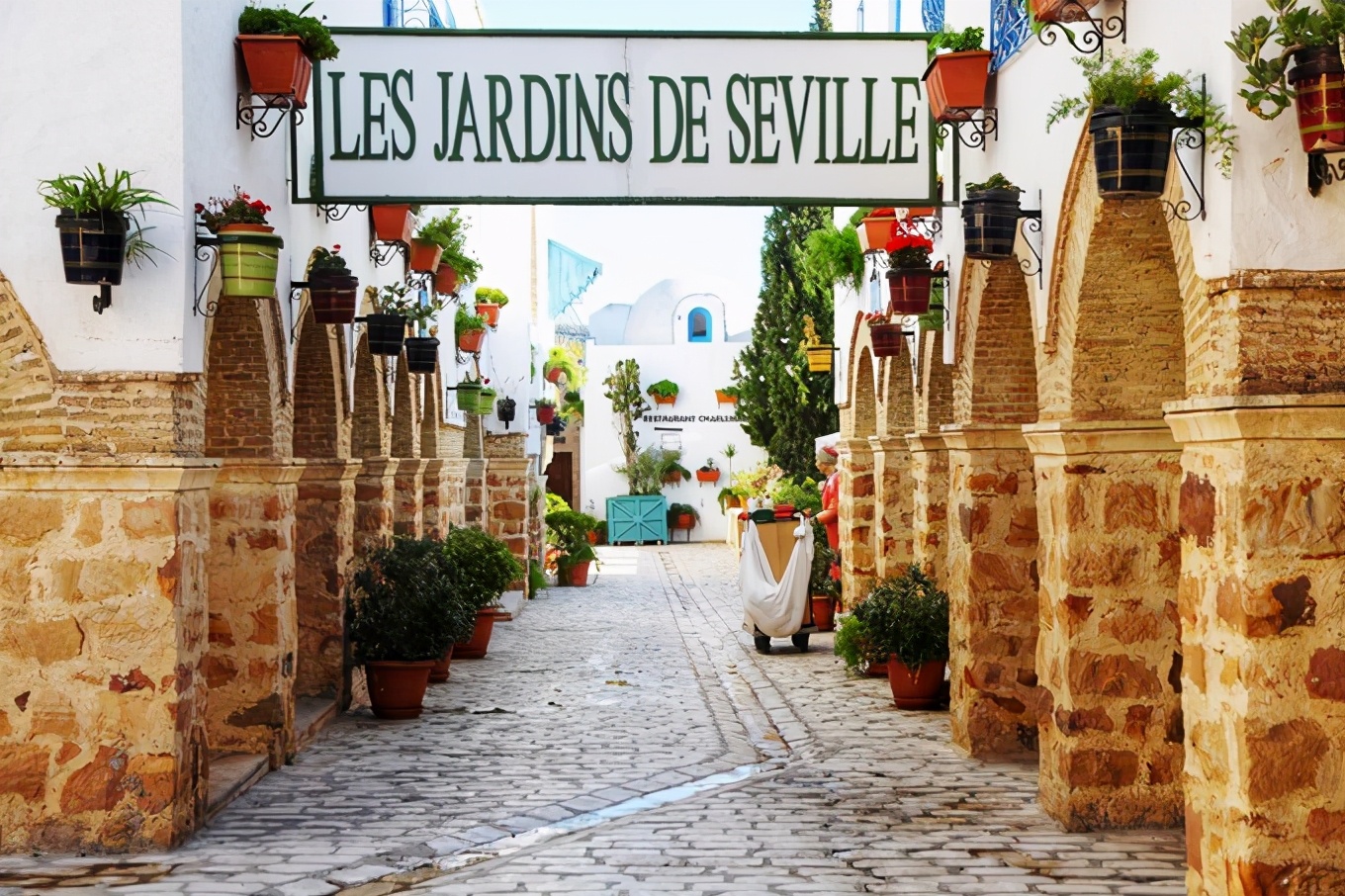 突尼斯｜一个微笑，一句“salam”，我为你动容（1）