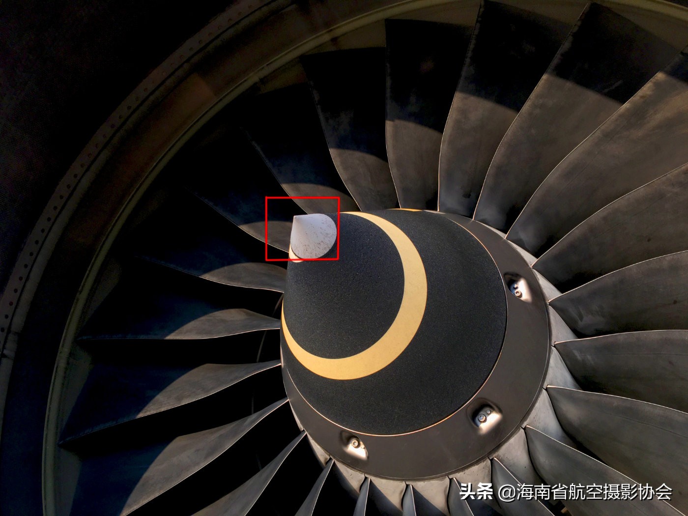 a320各部分介绍,a320和a321区别细节